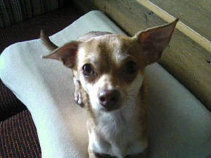 photo-0001e.jpg